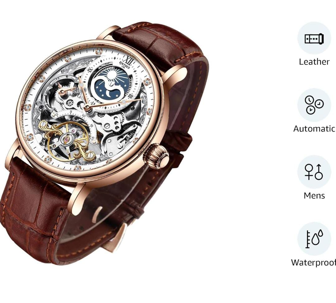 imax Pantonic Men's Luxury Skeleton Automatic Watch | Self-Winding Leather Strap Mechanical Wristwatch